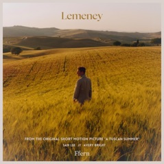 Lemeney - Single
