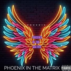 THE REMEDY (feat. DJ RICHY RICH) The Phoenix