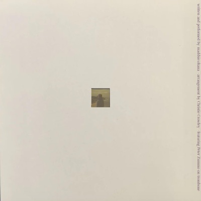 The Opportunist (feat. Peter Zummo, Adam Brown & Christie Crowley) - Single