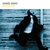 Babylon (UK Radio Mix) - David Gray