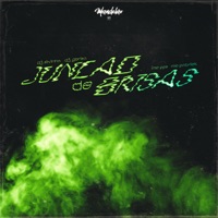 Junção de Brisas - Single - DJ SILVINHA, MC PPS & MC Patrick