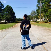 NEVER ALONE (feat. brocky) - Single - Strephdog