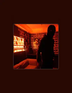 聆聽 Top 2、觀看音樂影片、閱讀小傳、查看巡演日期等！