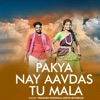 Pakya Nay Aavdas Tu Mala - Single