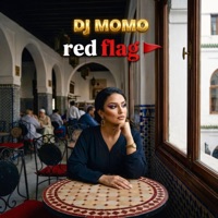 red flag - Single - DJ MOMO