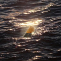 empanada (feat. Zilvand) - Single - Queascosai