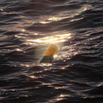 empanada (feat. Zilvand) - Single