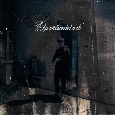UNA OPORTUNIDAD - Single