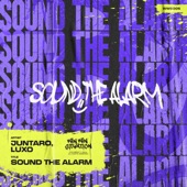 Sound The Alarm artwork