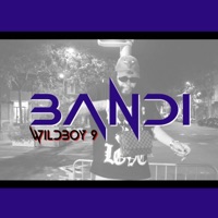 Bandi - Single - Wildboy 9