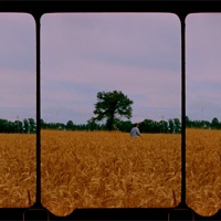 (self) care: deluxe edition - linanthem