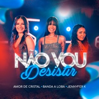 Não Vou Desistir - Single - Banda A Loba & Banda Amor De Cristal