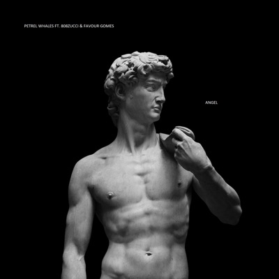Angel (feat. Favour Gomez & 808Zucci) - Single