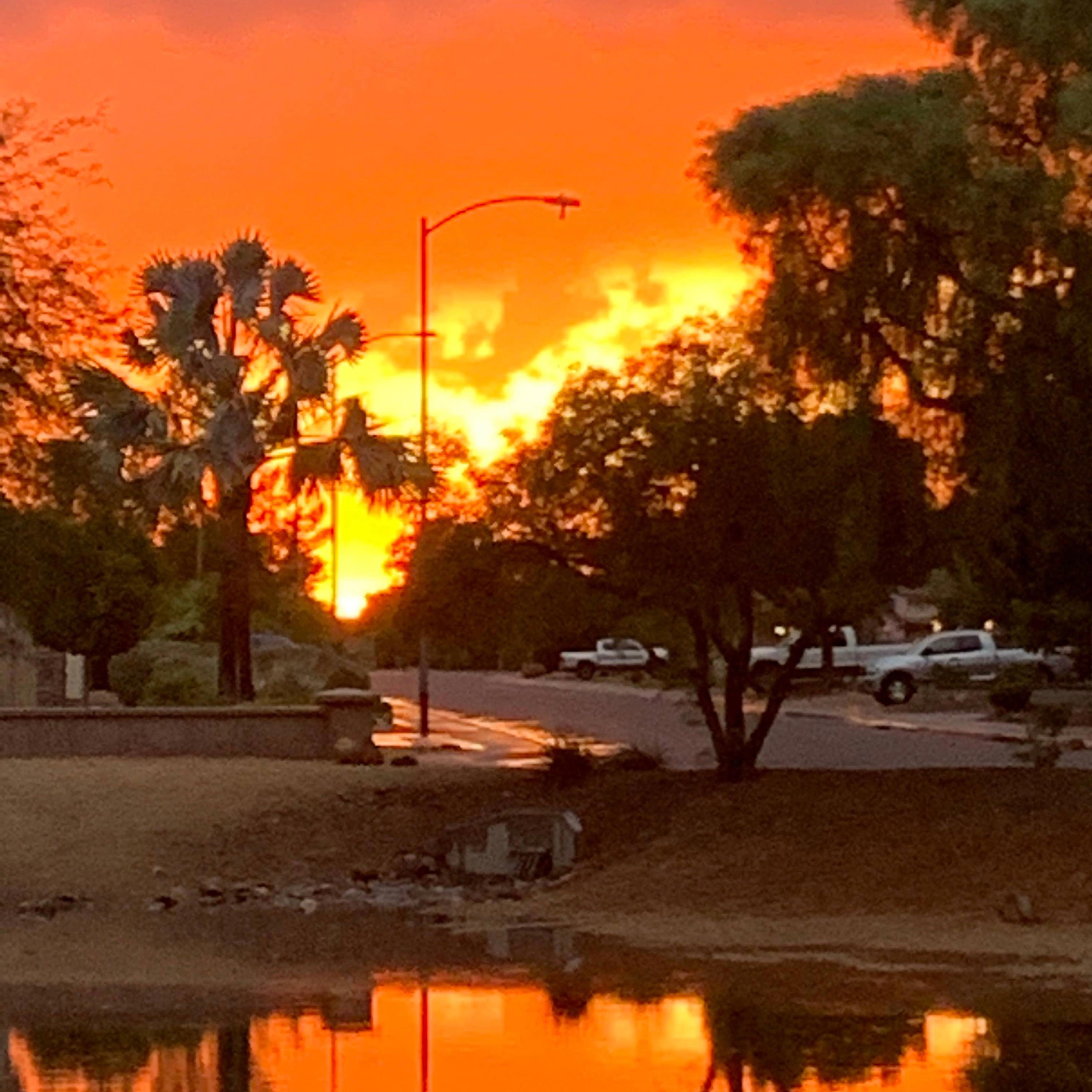 margiela hoe - Single