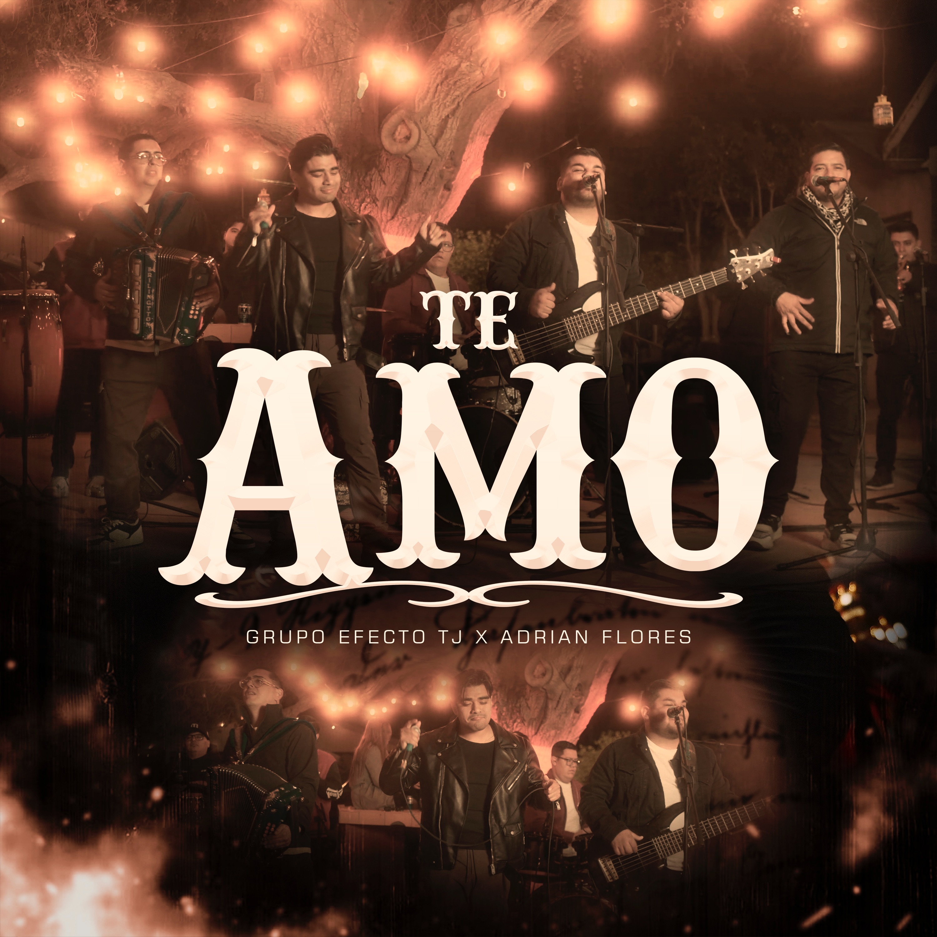 Te Amo - Single