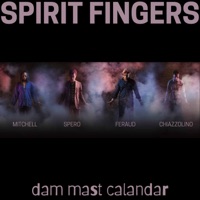 Dam Mast Calandar (feat. Hadrien Feraud, Blaque Dynamite & Dario Chiazzolino) - Single - Greg Spero & Spirit Fingers
