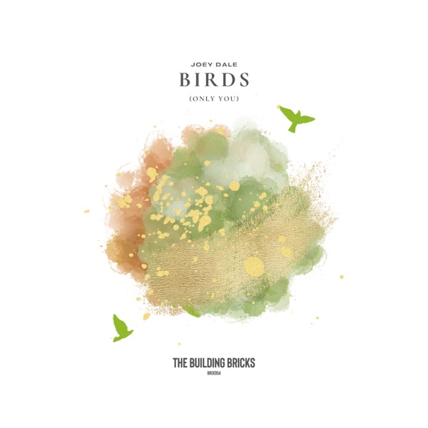 Birds (Only You) - EP