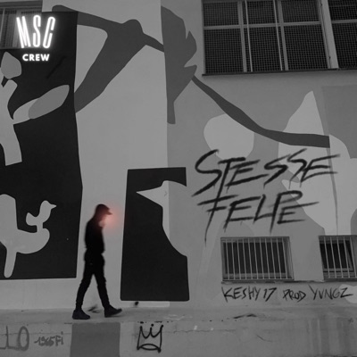 STESSE FELPE - Single