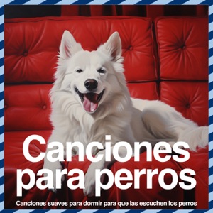 Canciones para perros: Canciones suaves para dormir para que las escuchen los perros