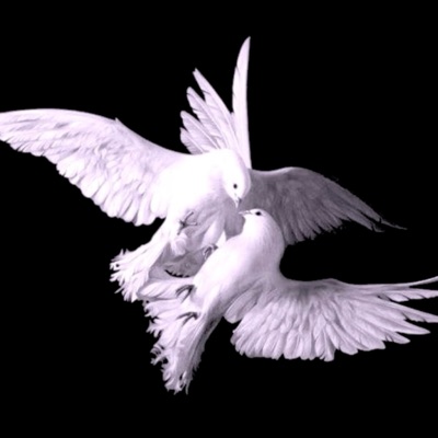 prove my love - Single