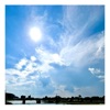do you like me? - Single
