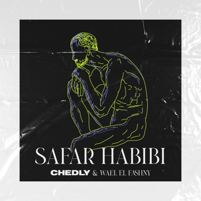 Safar Habibi (feat. Wael El Fashny) [Radio Edit] - Single