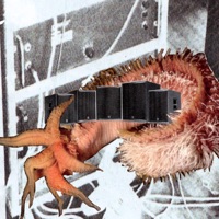 plotting smth - Single - Carré