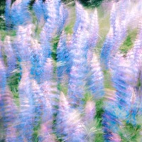 im done trying to be perfect - Single - HenkeTooRaw