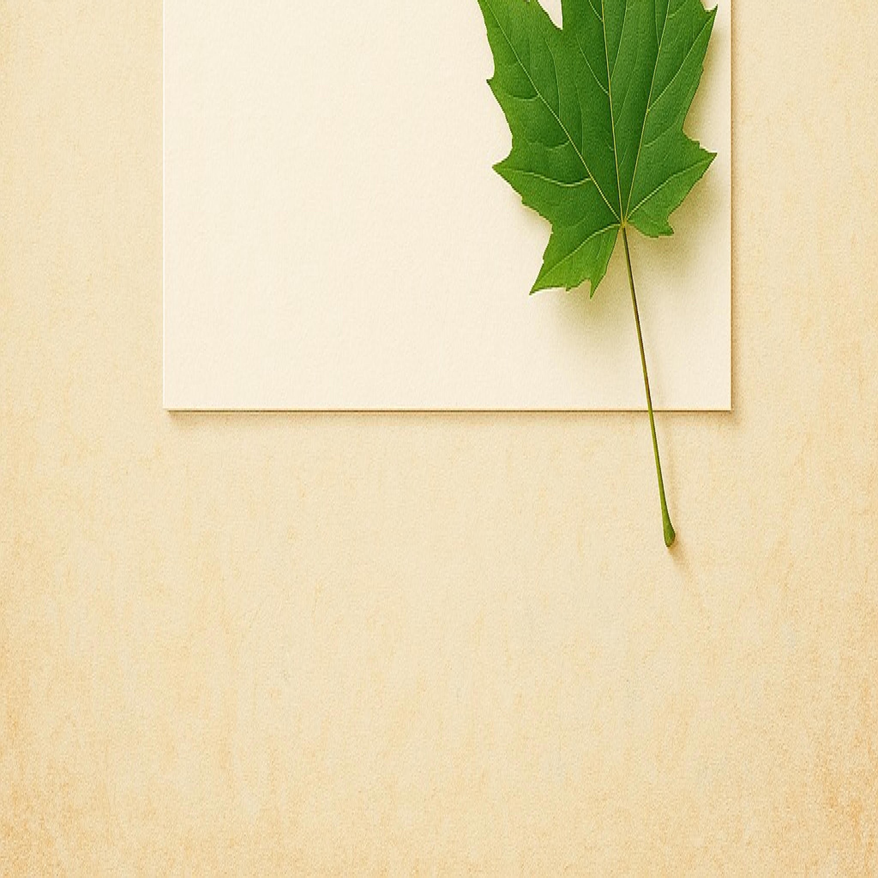 Hoja en Blanco - Single