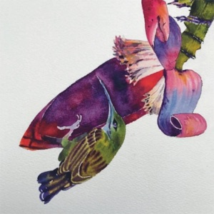 camomila / and so do you - Single