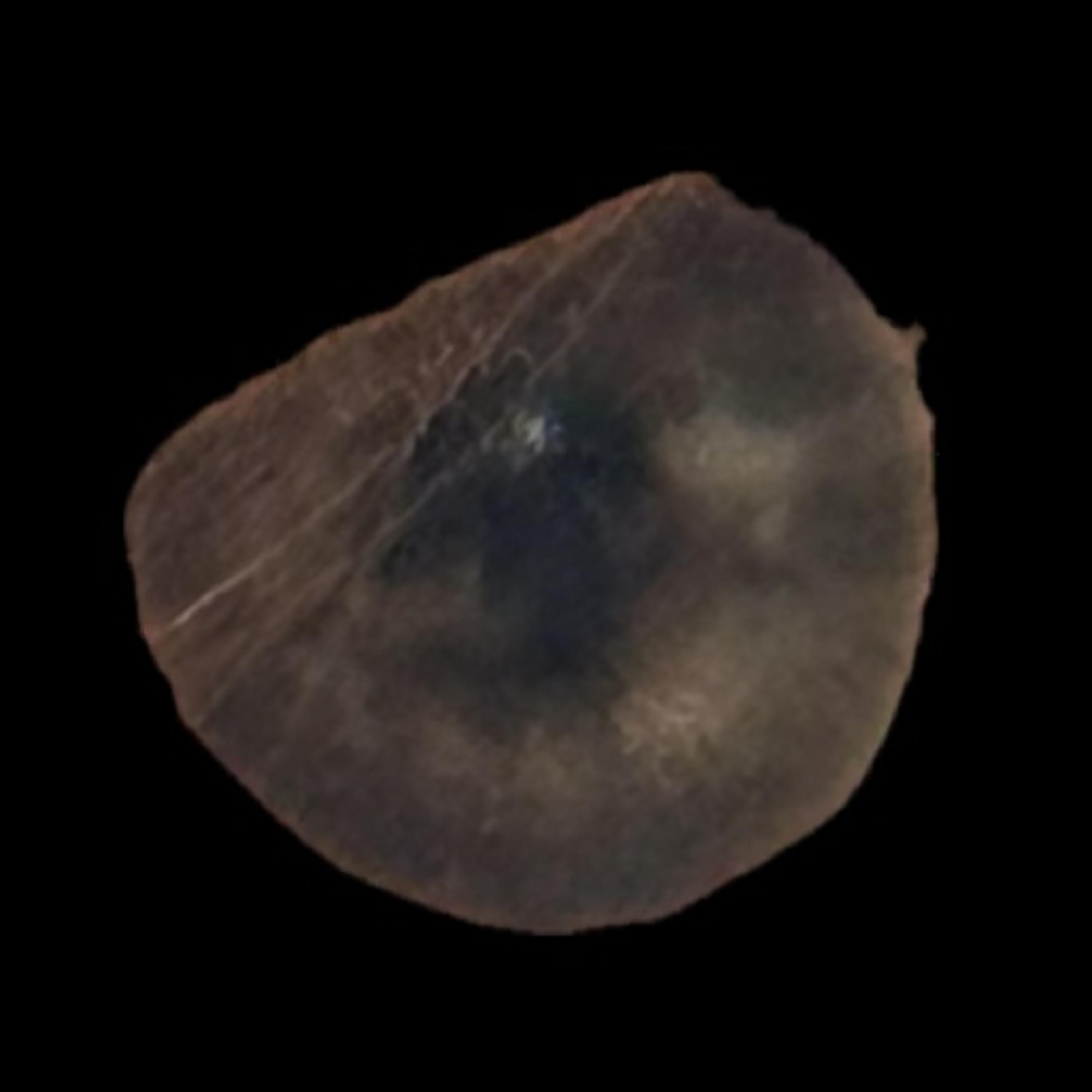 Eyes to See (Full Vision Deluxe)