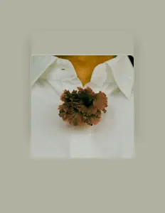 Dengarkan Sasina, tonton video musik, baca bio, lihat tanggal tur & lainnya!