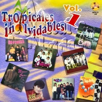 Tropicales Inolvidables Vol. 1 - Various Artists