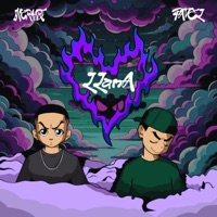 Llama - Single - INFERAART & PAVEL