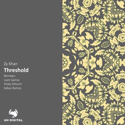 Threshold (Vitaly Shturm Remix) - Single