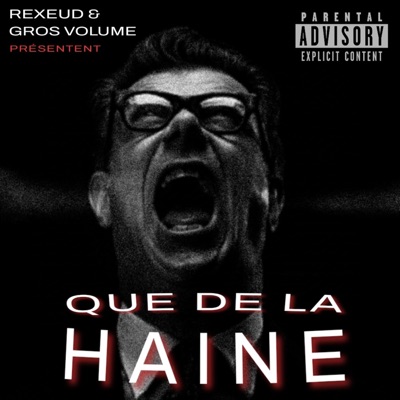 Que de la HAINE (feat. Gros Volume) - Single