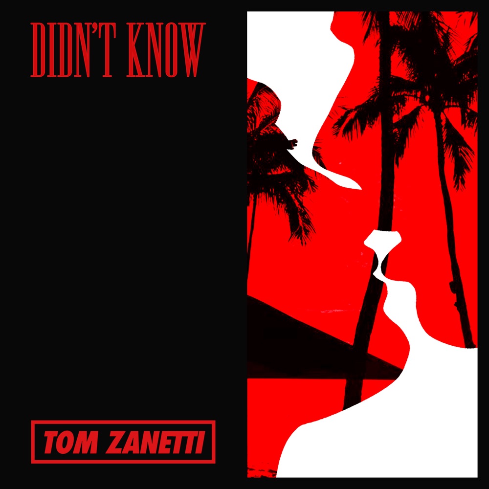 Обложка альбома «Didn't Know - Single» — Tom Zanetti