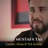 ÇAMLAR ALTINA