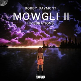 Runnin It Up Bobby Baymont