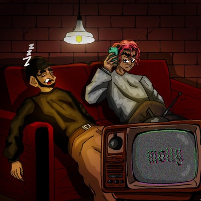 MOLLY! (feat. Wheresjordxn) - Single