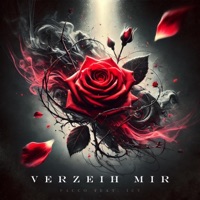 Verzeih mir (feat. Icy) - Single - pacco