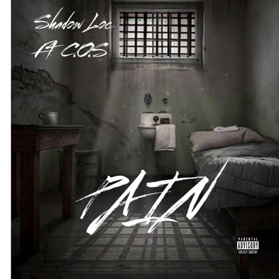 Pain (feat. C.O.S) - Single