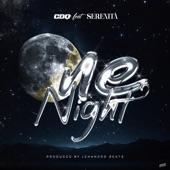 One Night (feat. Serenità) artwork