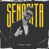 Edward Sanda - Senorita Grafik