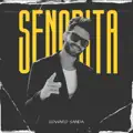 Senorita