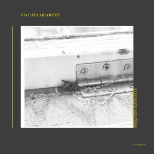 Septendecim (feat. Nels Cline, Chris Corsano, Darin Gray & Glenn Kotche)