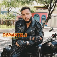 Dismantelo - Single - HoodBob & Chant