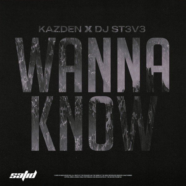 Wanna Know - Single