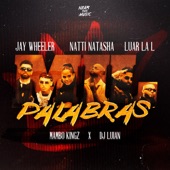 Mil Palabras (feat. Mambo Kingz & DJ Luian) artwork