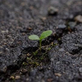 просто быть вылитый я